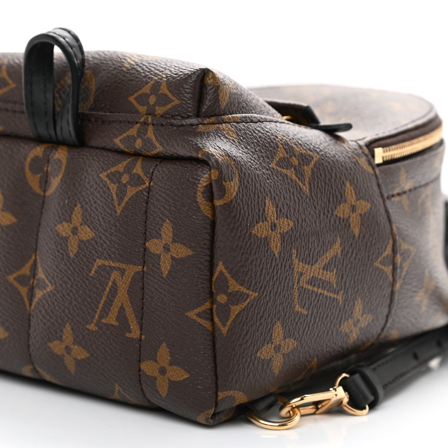 Monogram Palm Springs Backpack Mini