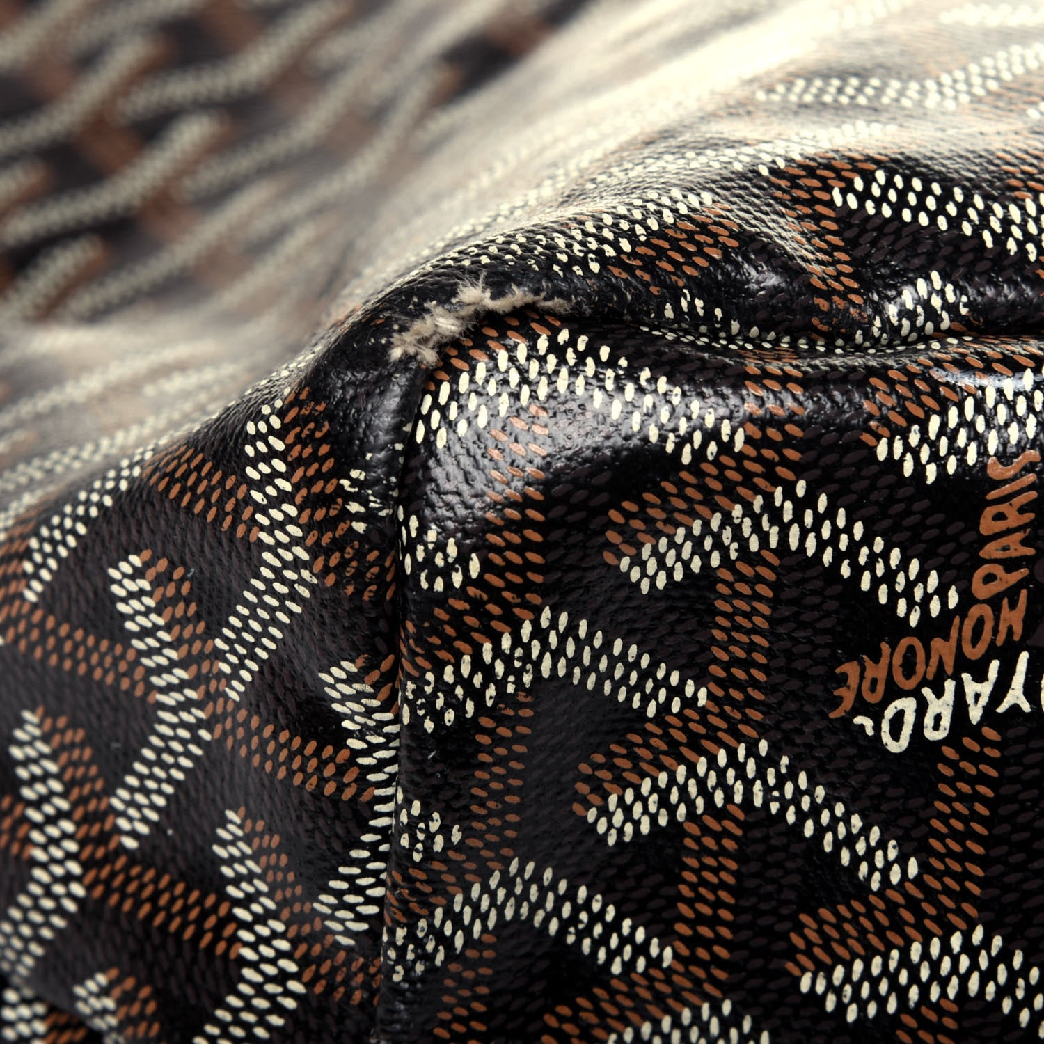 Goyard Goyardine Saint Louis PM Black 16 of 20