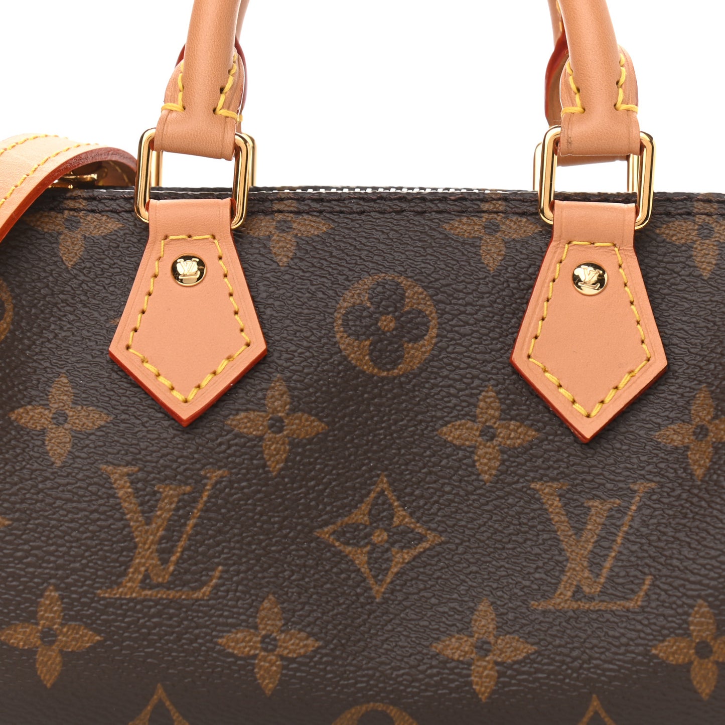 Monogram Nano Speedy Bandouliere