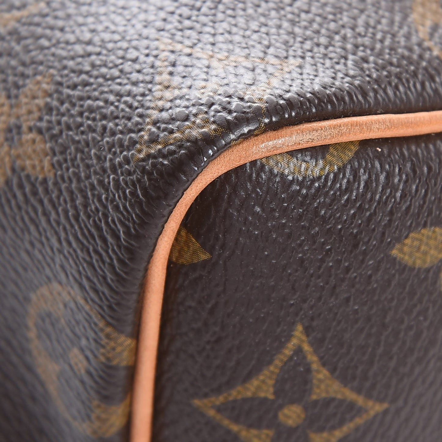 Monogram Speedy Bandouliere 25