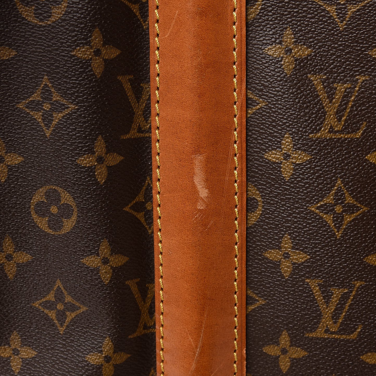 Monogram Portable Garment Bag