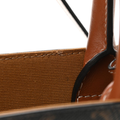 Celine Triomphe Canvas Calfskin Mini Vertical Cabas Tan 6 of 8