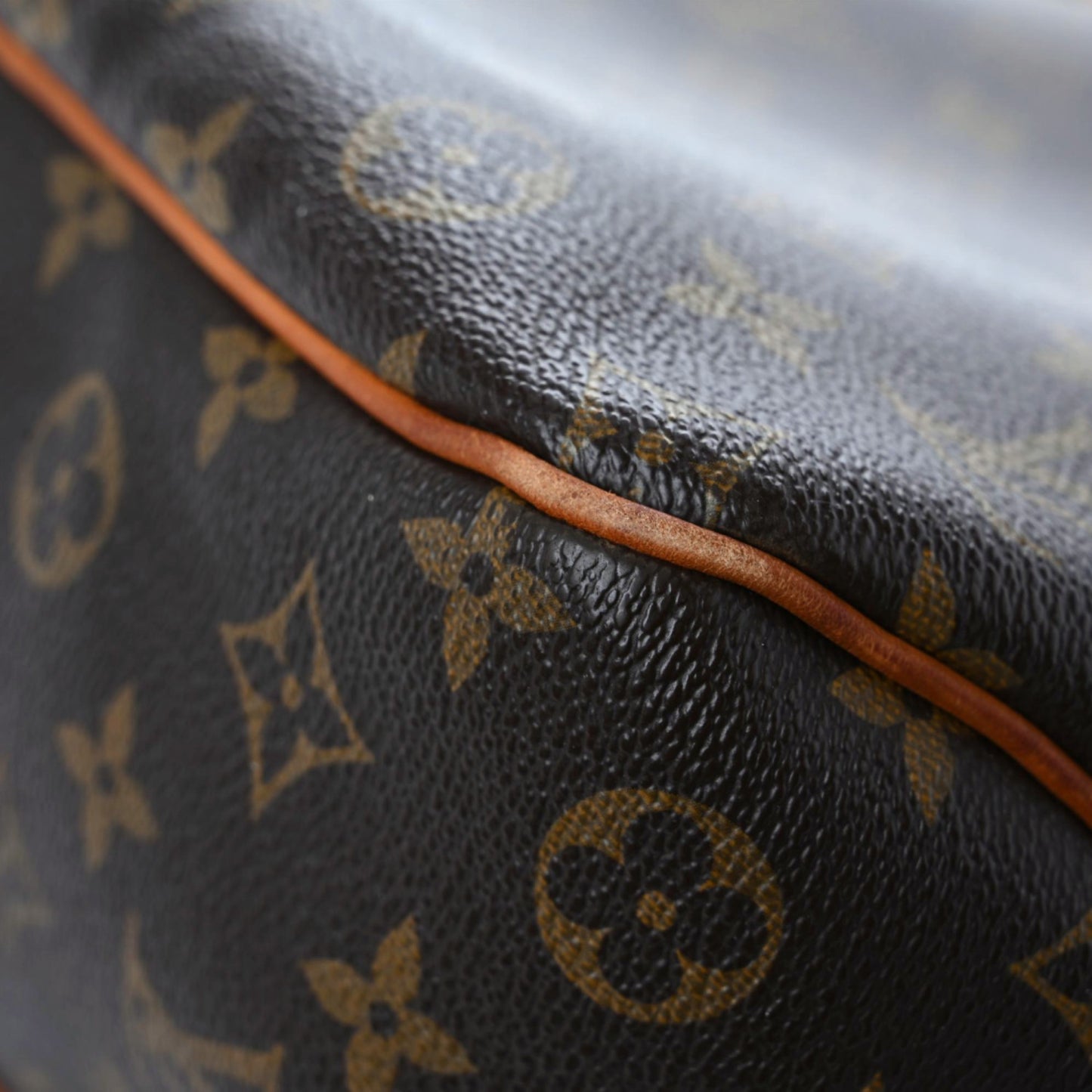 Monogram Delightful PM