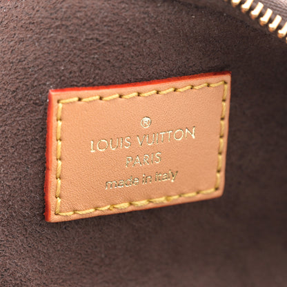 Louis Vuitton Monogram Mini Bumbag 6 of 9