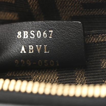 Fendi Vitello King Plexiglass Logo Embossed Mini By The Way Top Handle Boston Bag Black 7 of 10