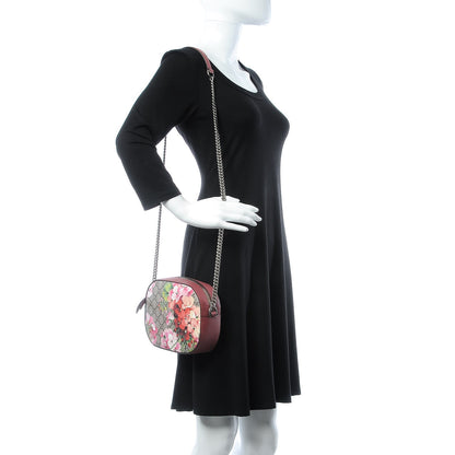 Gucci GG Supreme Monogram Blooms Mini Chain Shoulder Bag Beige Multicolor Dry Rose 2 of 8