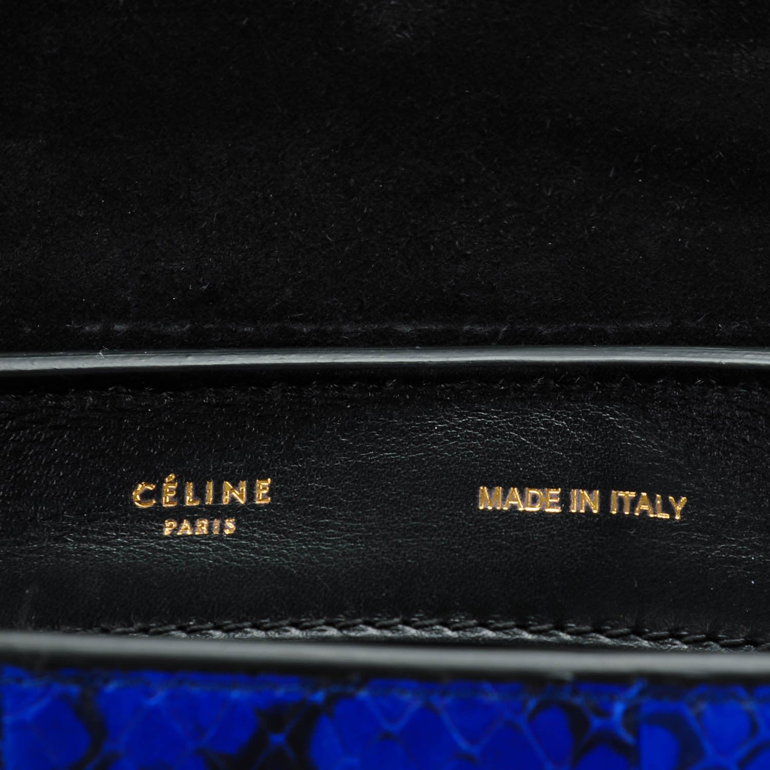 Celine Python Calfskin Medium Trapeze Blue Black 5 of 7