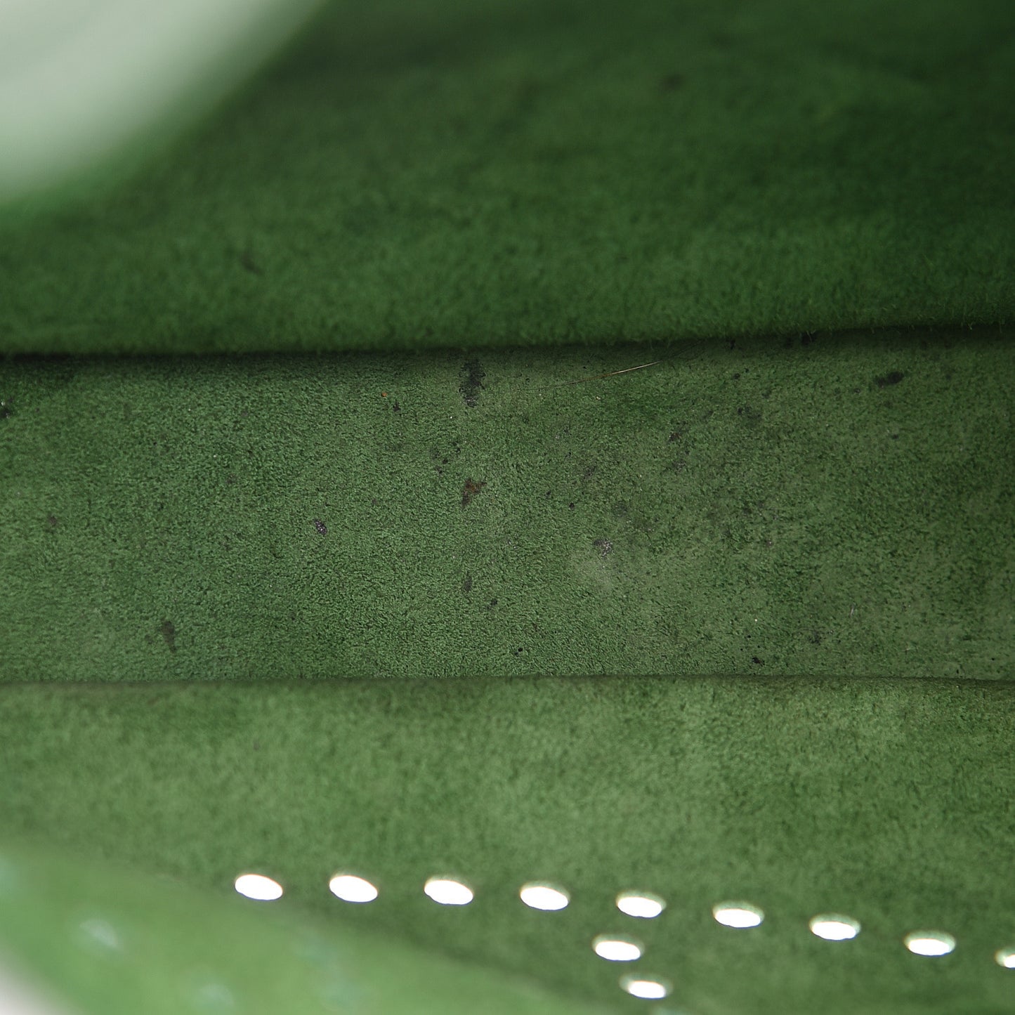 Epsom Evelyne III GM Vert Bengale