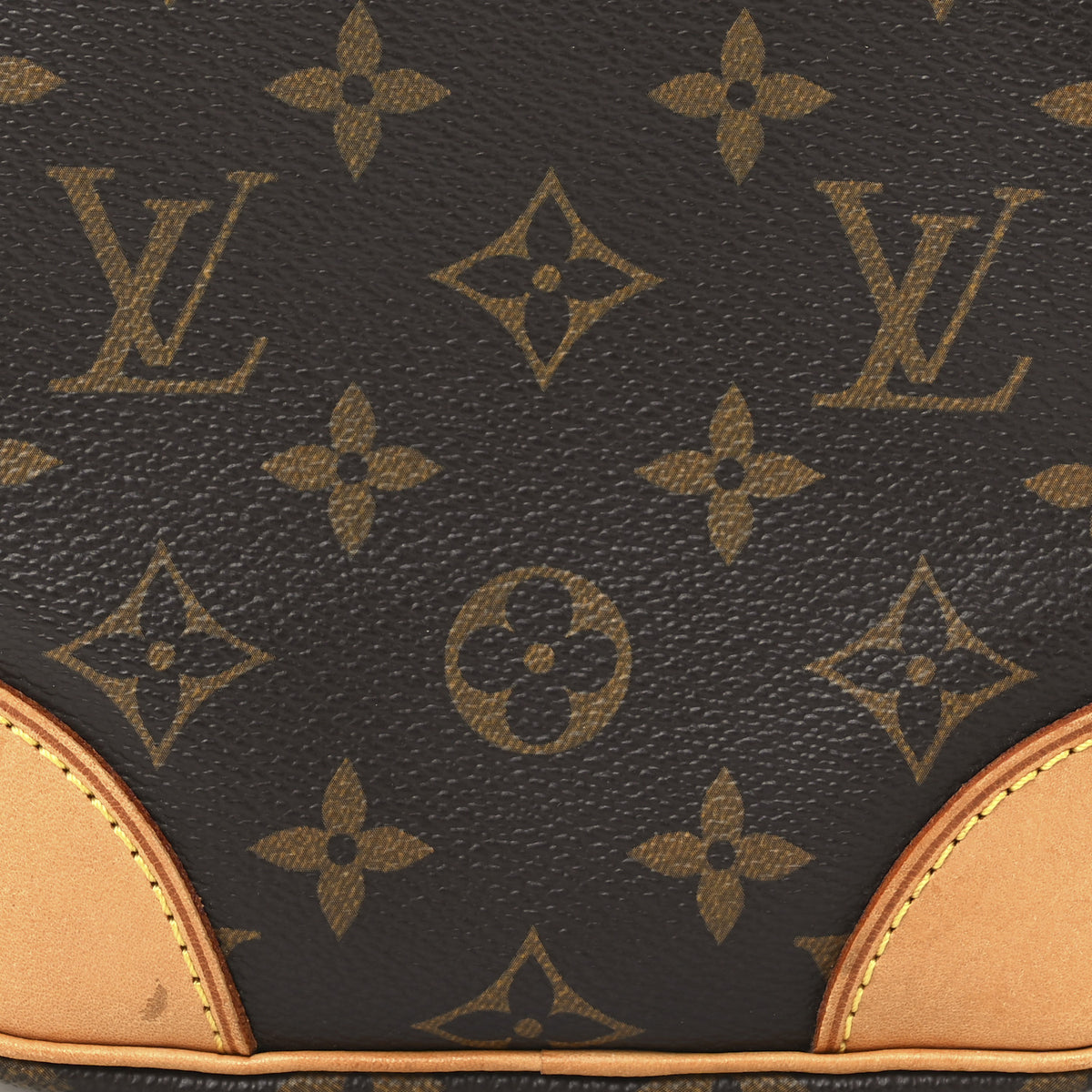 Louis Vuitton Monogram Amazone 14 of 19