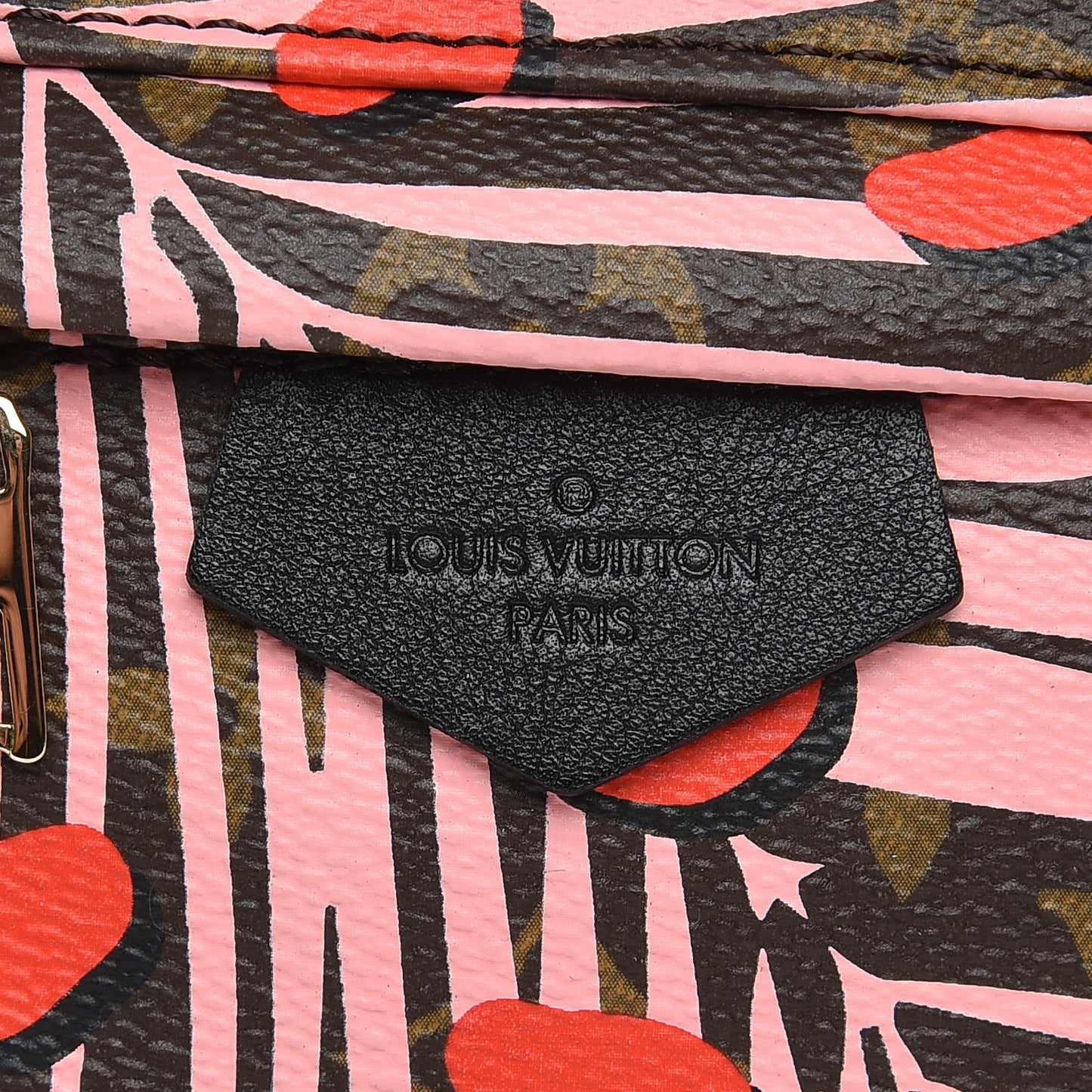 Monogram Jungle Dots Palm Springs Backpack PM Sugar Pink Poppy