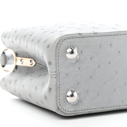 Louis Vuitton Ostrich Capucines BB Gris 9 of 10