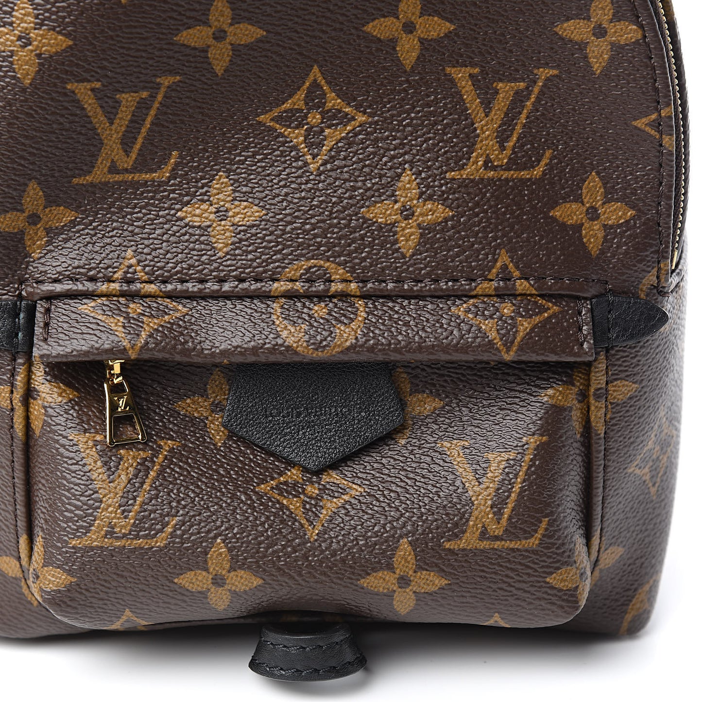 Monogram Palm Springs Backpack Mini