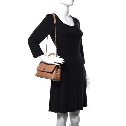 Chanel Caviar Quilted Mini Coco Handle Flap Brown 2 of 9