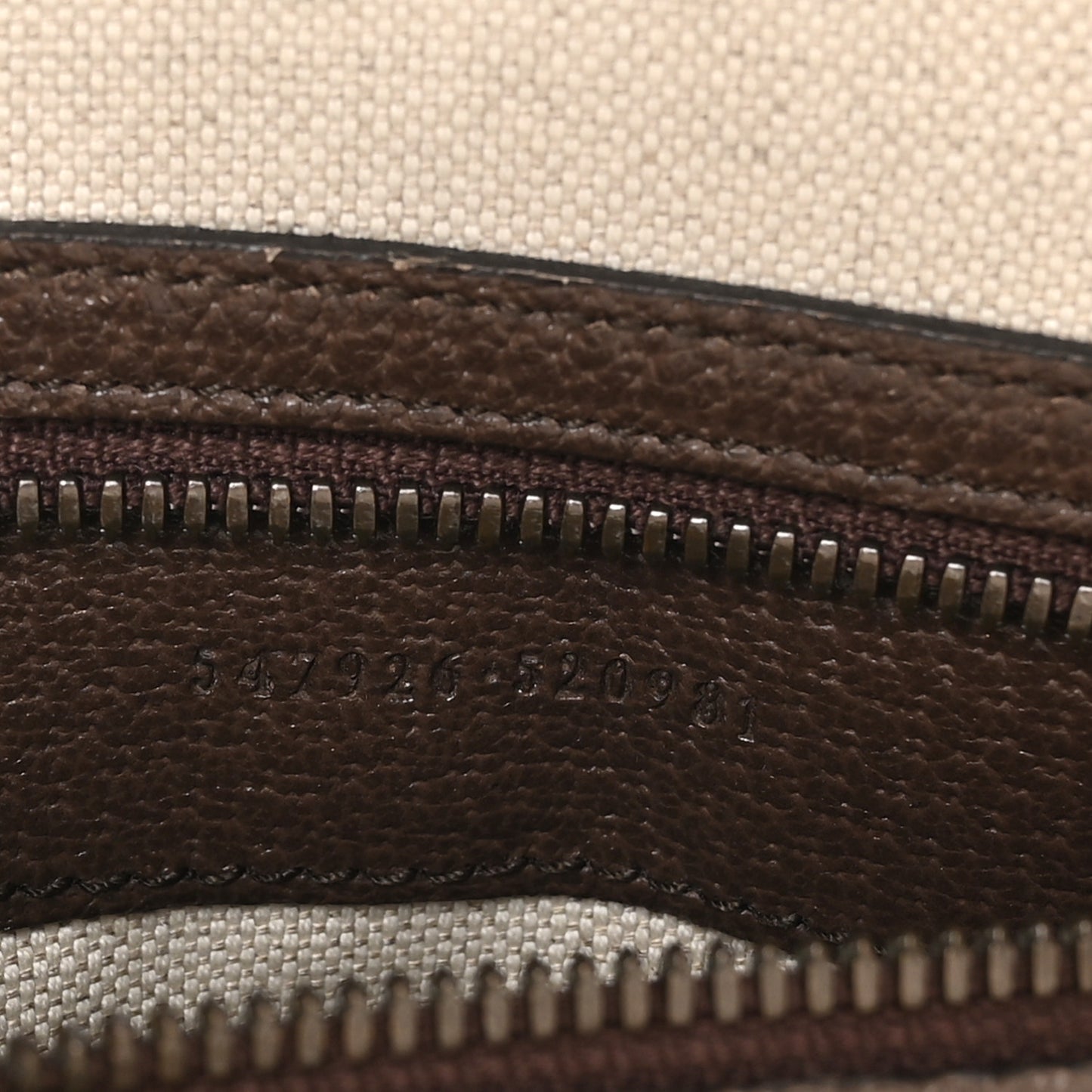 GG Supreme Monogram Web Small Ophidia Messenger Bag Brown