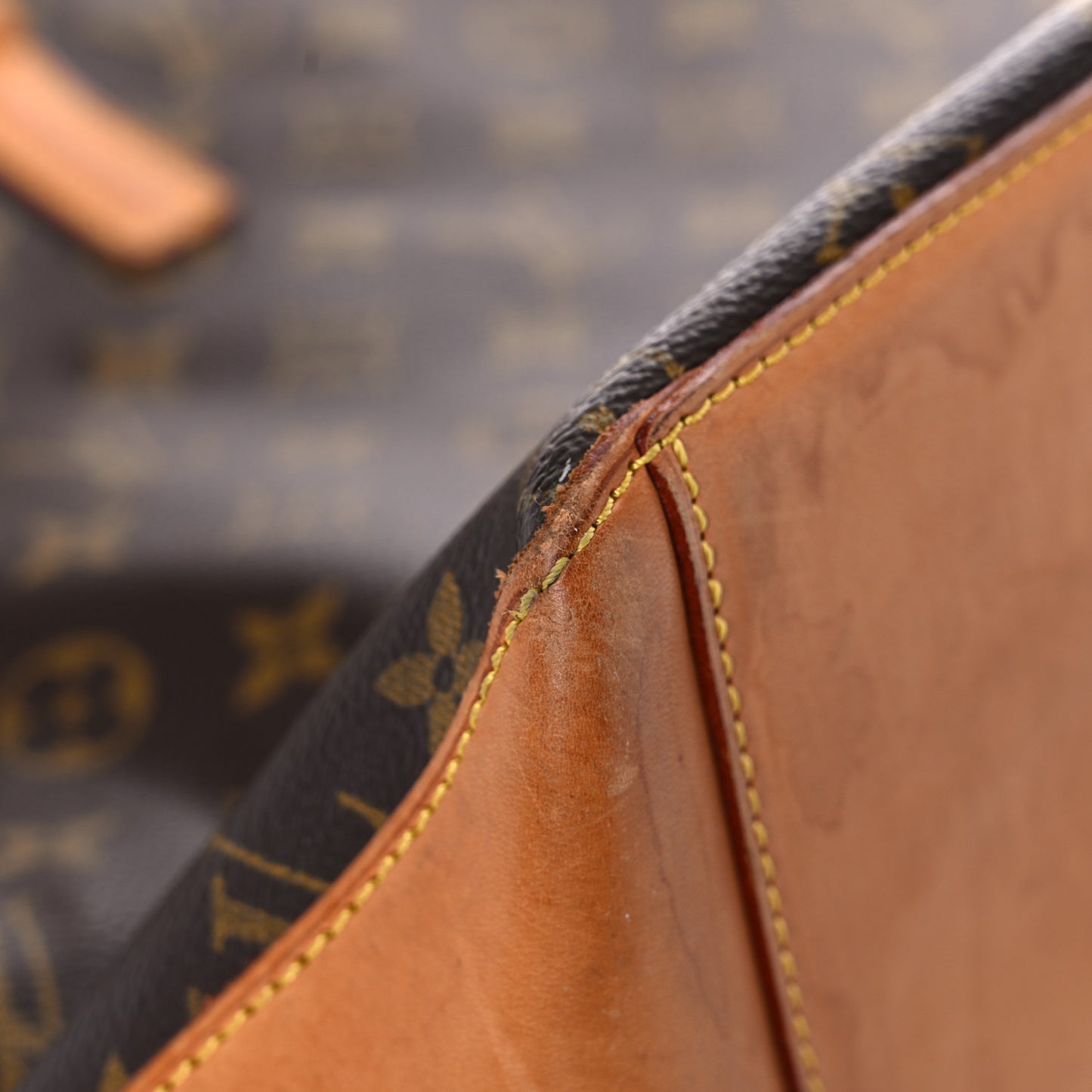 Monogram Cabas Mezzo