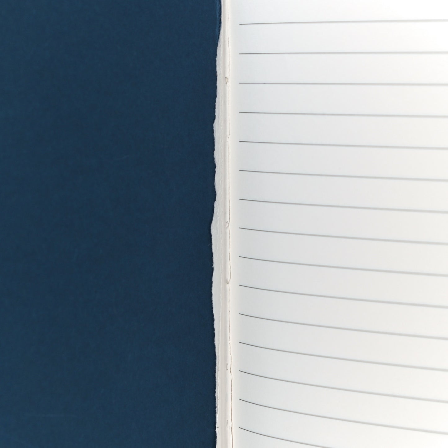 Monogram Escale Clemence Notebook Blue
