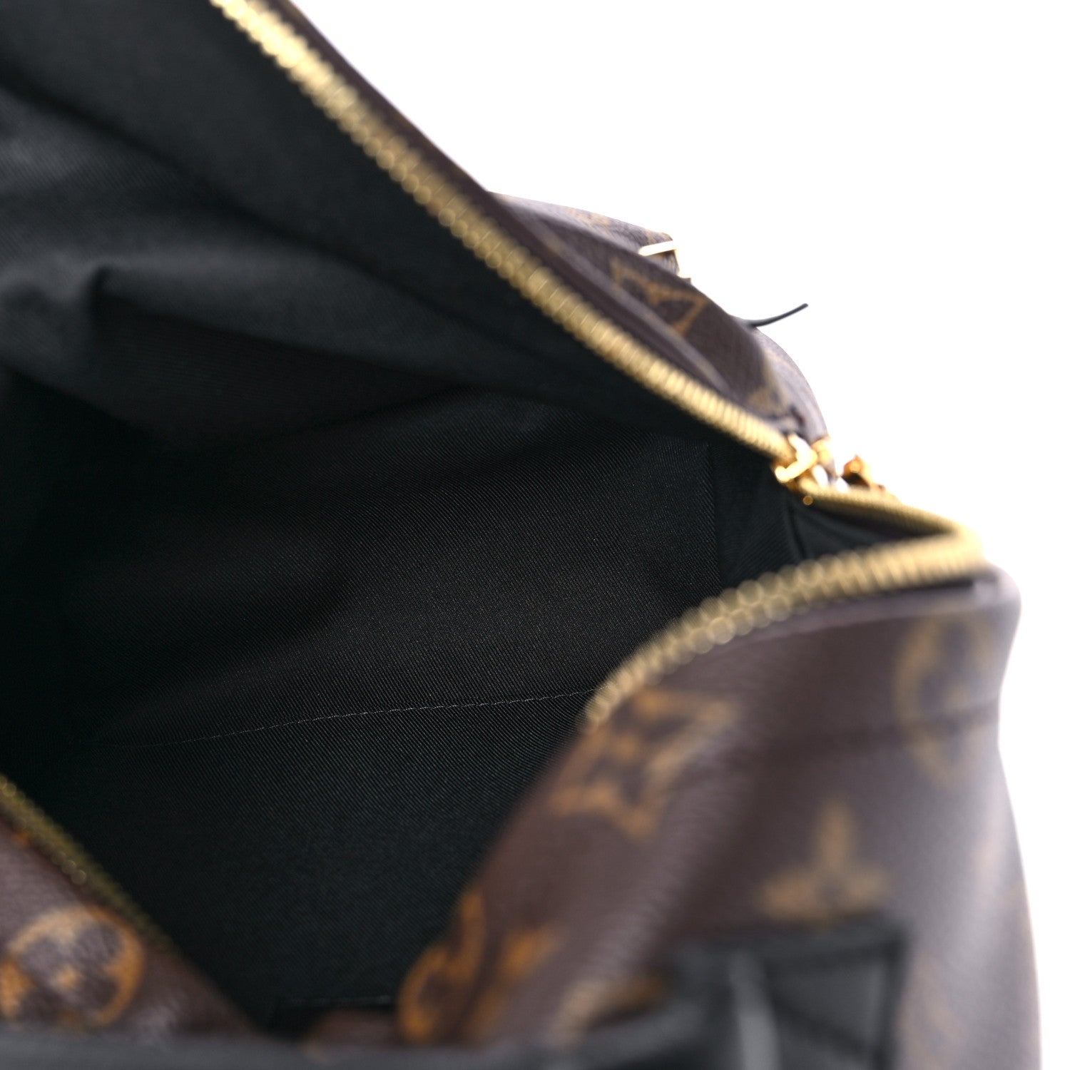 Louis Vuitton Monogram Palm Springs Backpack PM 5 of 10