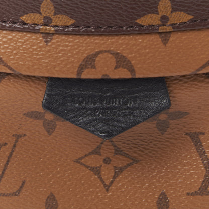 Louis Vuitton Reverse Monogram Palm Springs Backpack PM 8 of 10