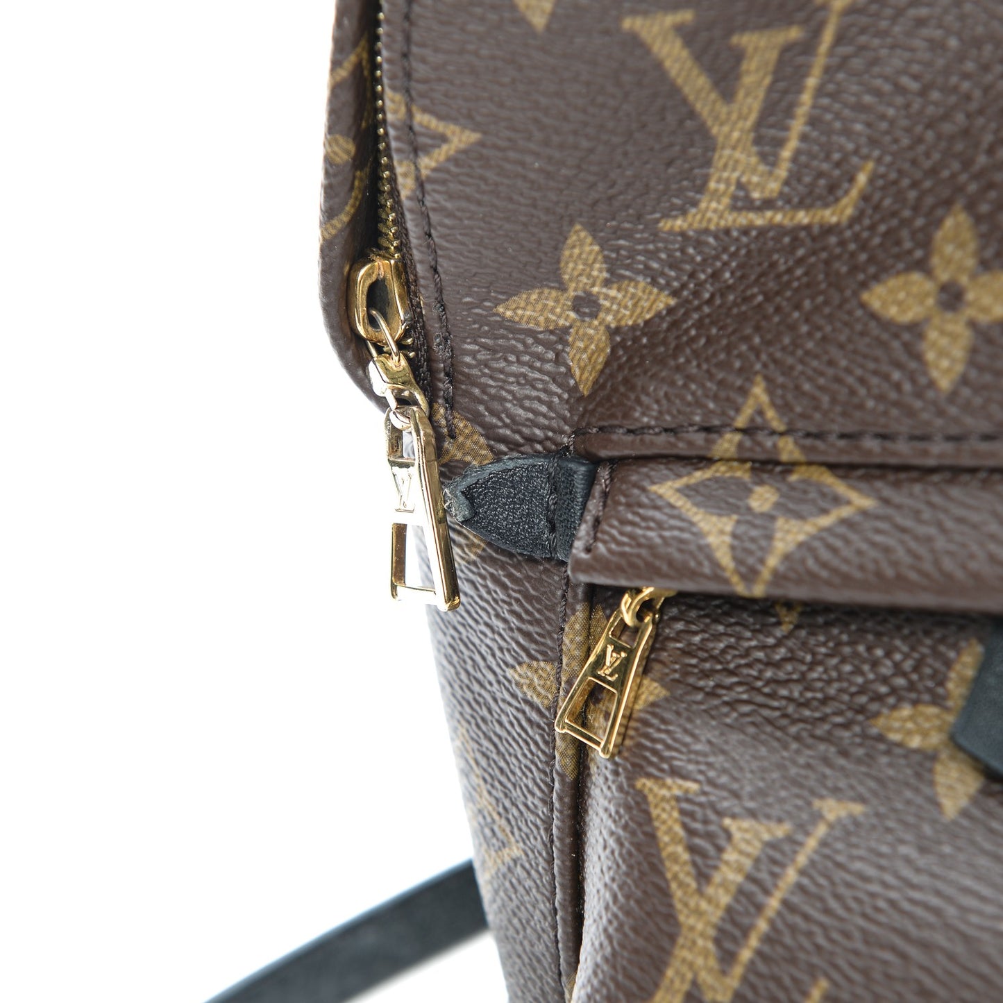 Monogram Palm Springs Backpack Mini