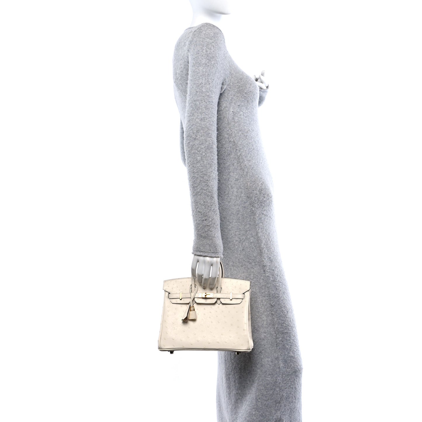Ostrich Birkin 25 Nata