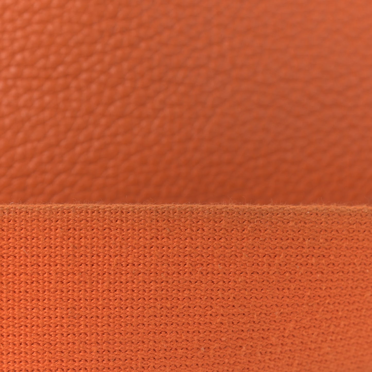 Taurillon Clemence Evelyne III PM Orange