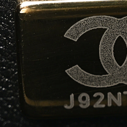 Chanel Tweed Quilted Mini Rectangular Camellia Flap Black White 6 of 10