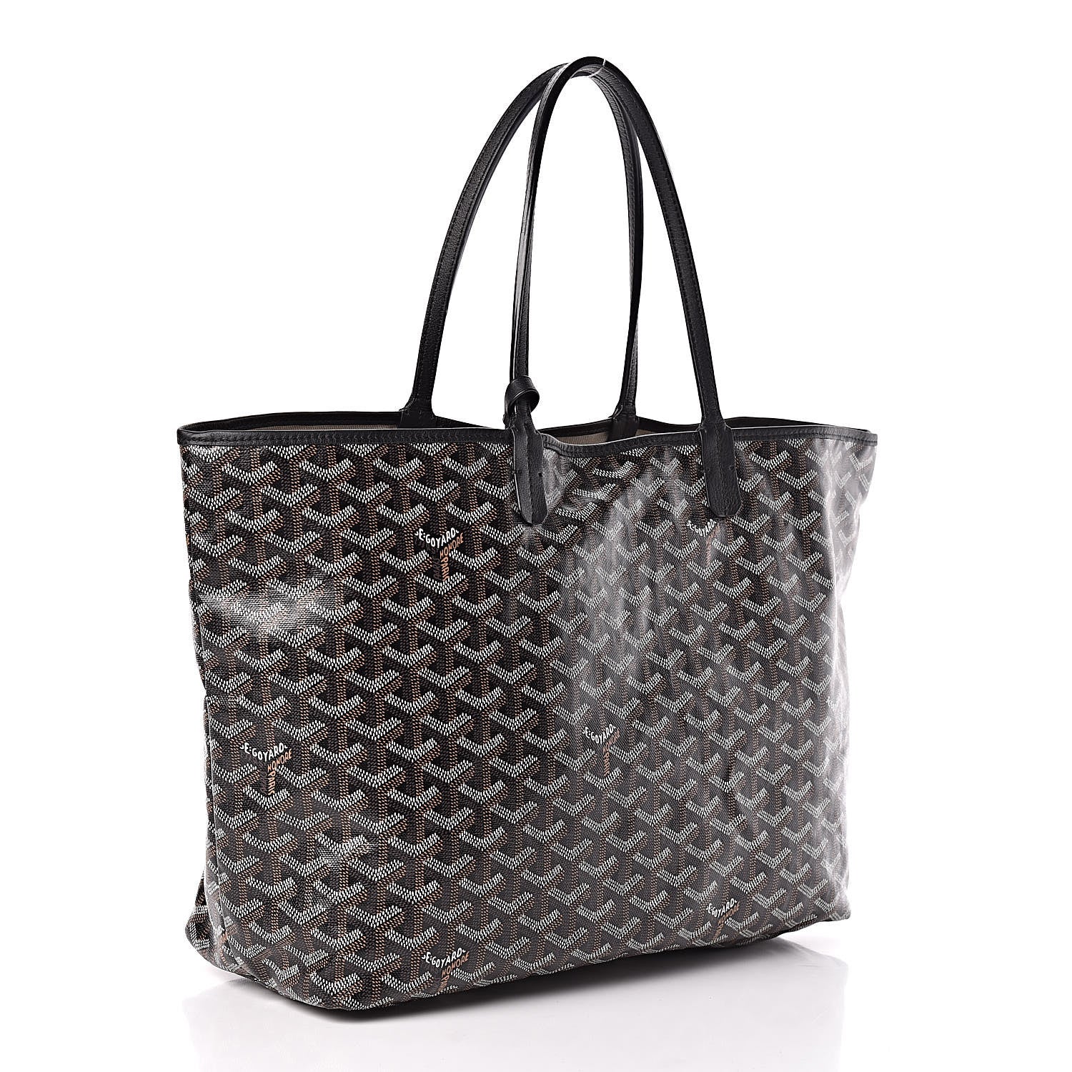 Goyard Goyardine Saint Louis PM Black 4 of 16
