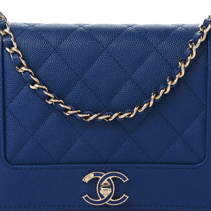 Chanel Caviar Quilted Vintage Mademoiselle Wallet On Chain WOC Blue 11 of 11