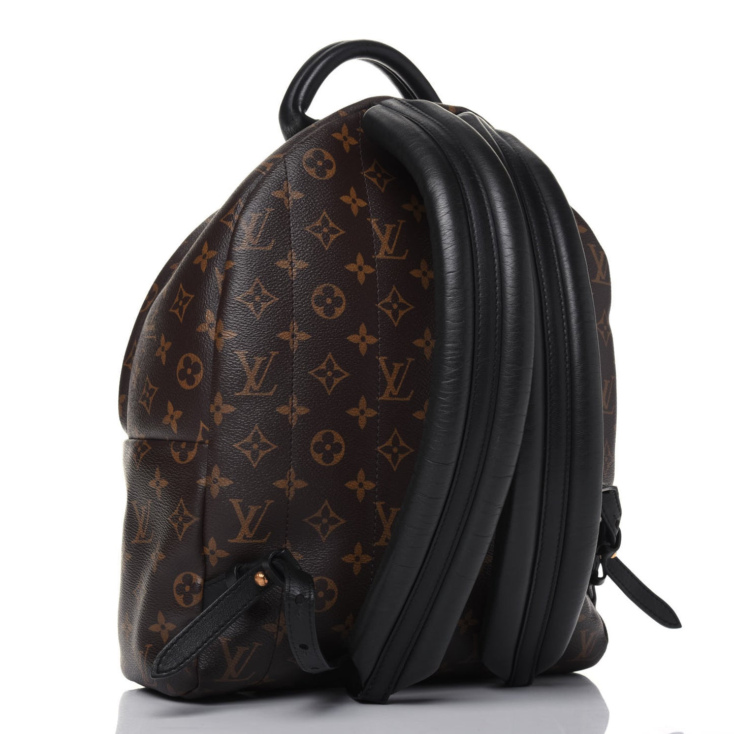 Monogram Palm Springs Backpack MM