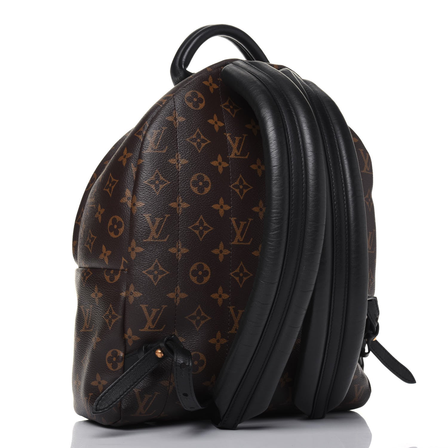 Louis Vuitton Monogram Palm Springs Backpack MM 2 of 14