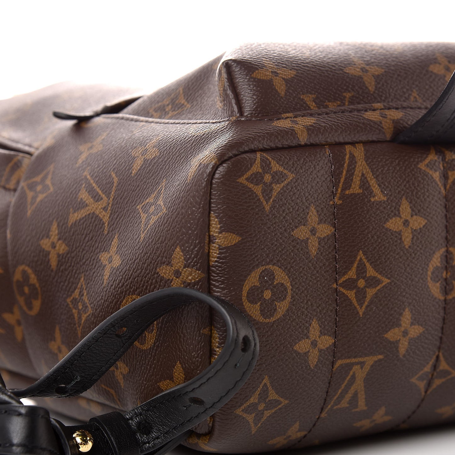 Monogram Palm Springs Backpack PM