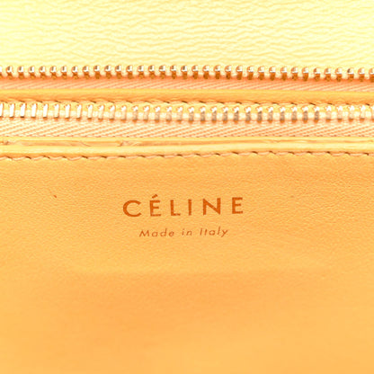 Celine Snakeskin Medium Classic Box Yellow 6 of 12