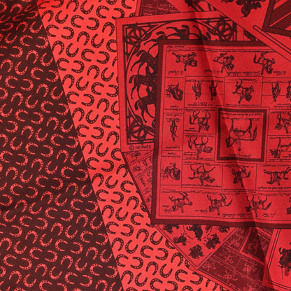 Hermes Silk A Cheval Sur Mon Carre Scarf 90 4 of 5