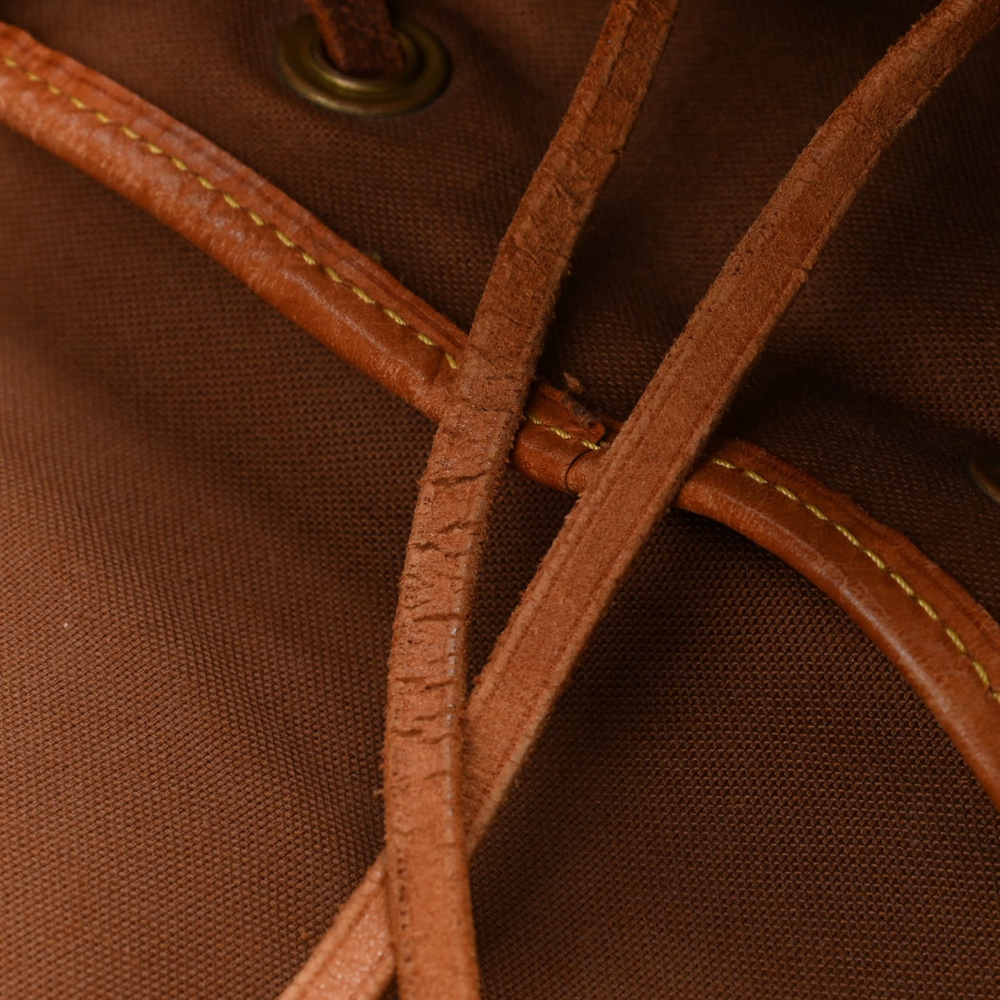 Monogram Montsouris GM Backpack