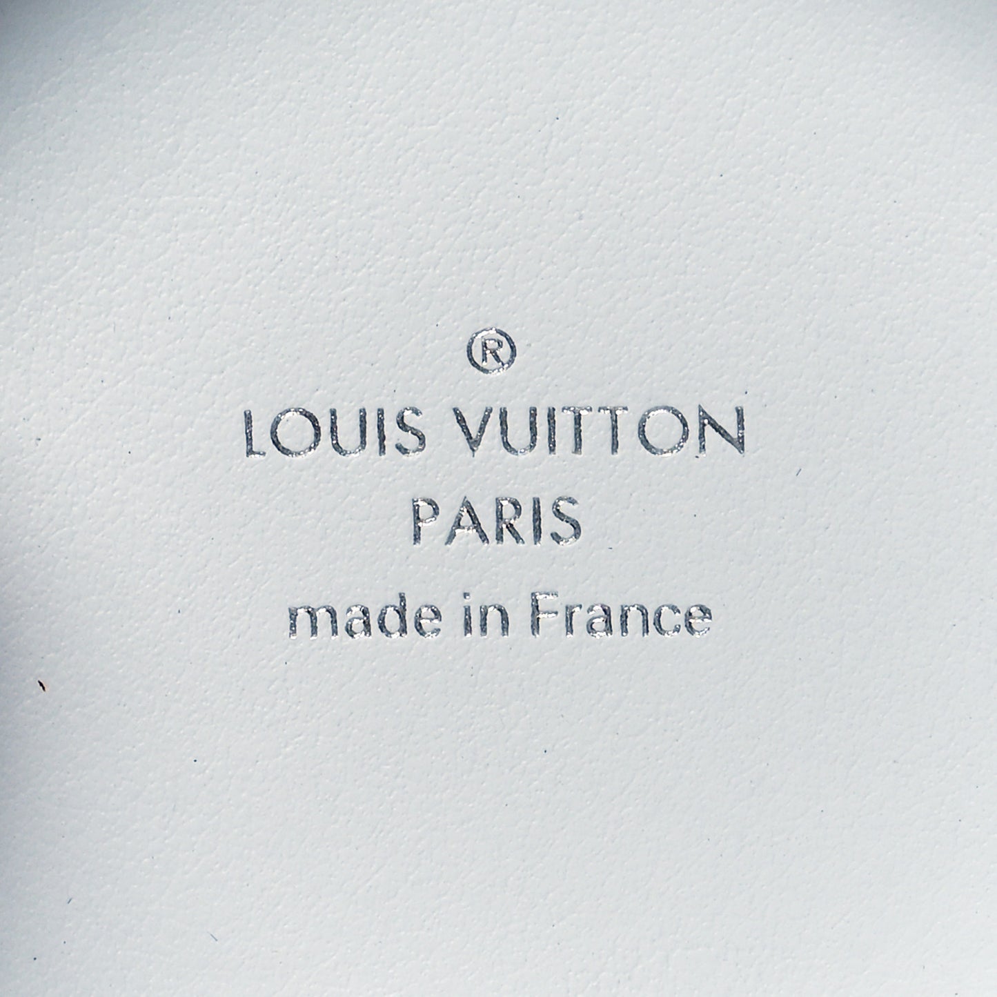 Monogram Watercolor Wireless Earphones Case