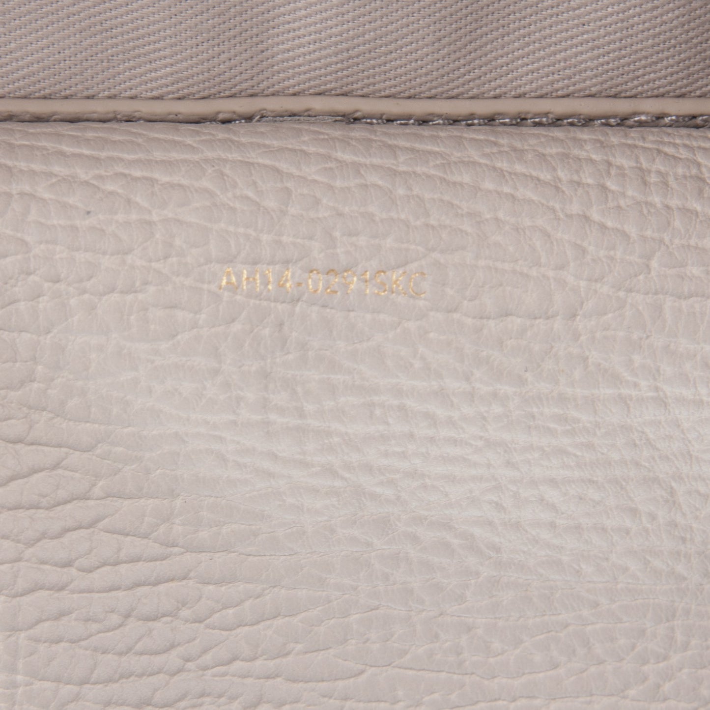 3.1 Textured Calfskin Pashli Backpack Feather