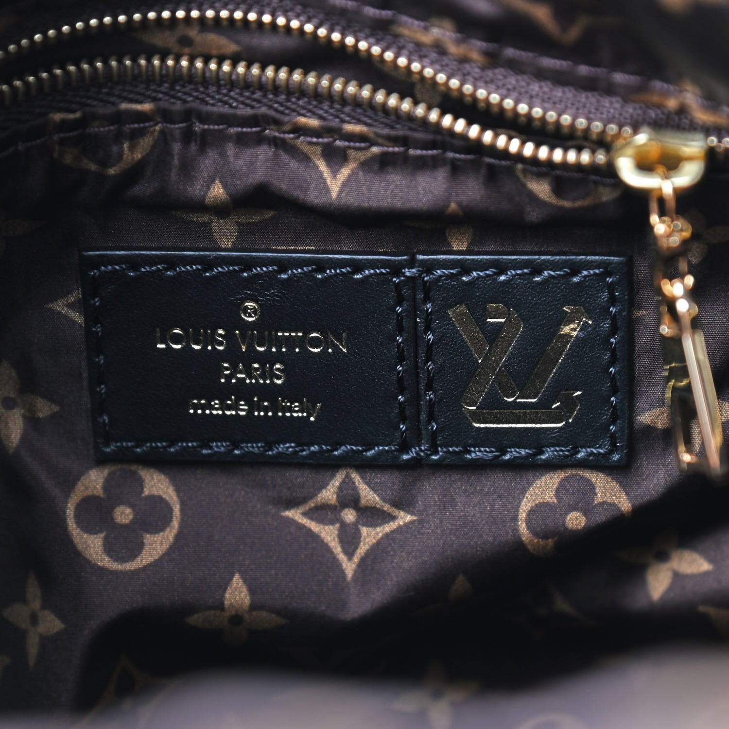 Louis Vuitton Econyl Mini Monogram Pillow Speedy Bandouliere 25 Black 7 of 7