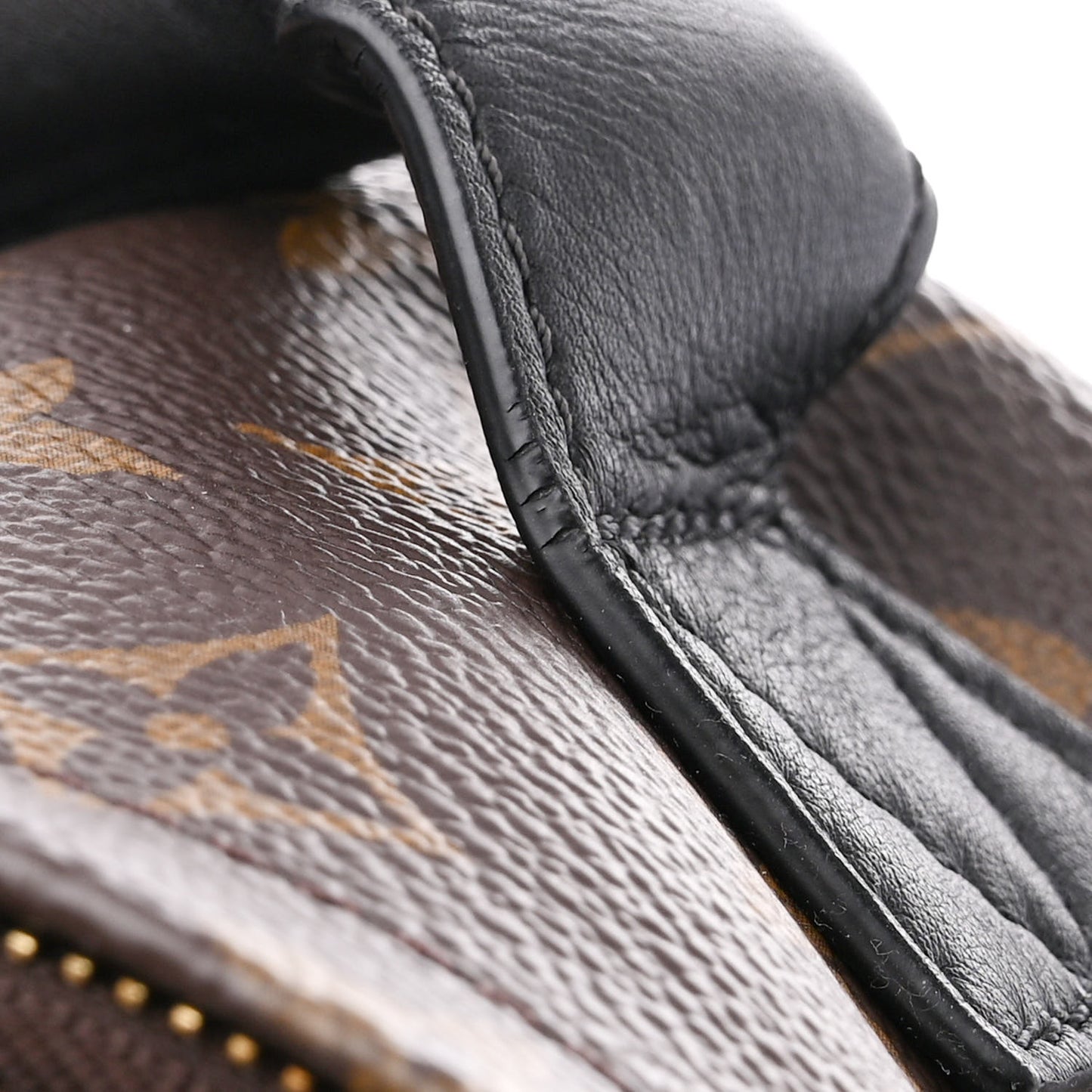 Monogram Palm Springs Backpack PM