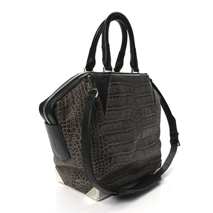 Alexander Wang Crocodile Embossed Calfskin Small Emile Taupe Silver Hardware 2 of 7
