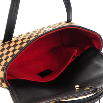 Louis Vuitton Damier Calf Hair Sauvage Lionne 5 of 7