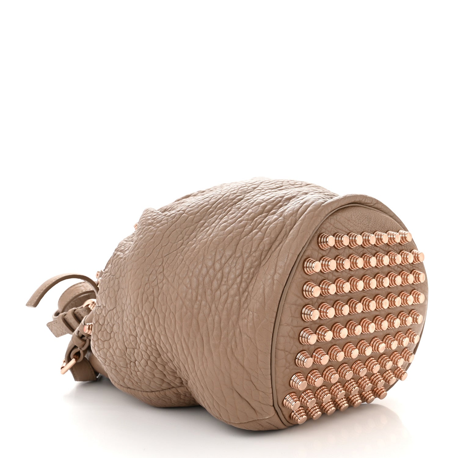 Alexander Wang Pebbled Lambskin Diego Bucket Bag Latte Rose Gold Hardware 4 of 11