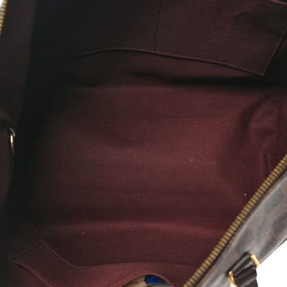 Louis Vuitton Damier Ebene Iena MM 5 of 10