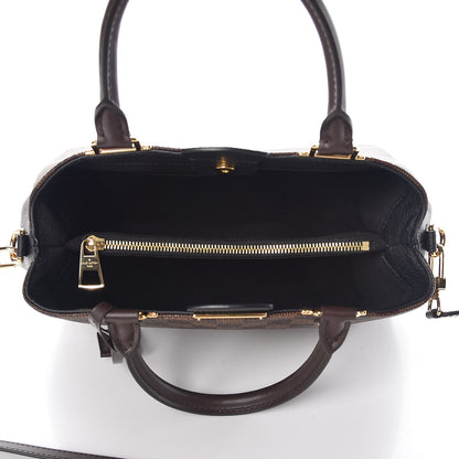 Louis Vuitton Damier Ebene Cuir Taurillon Brittany Black 5 of 9