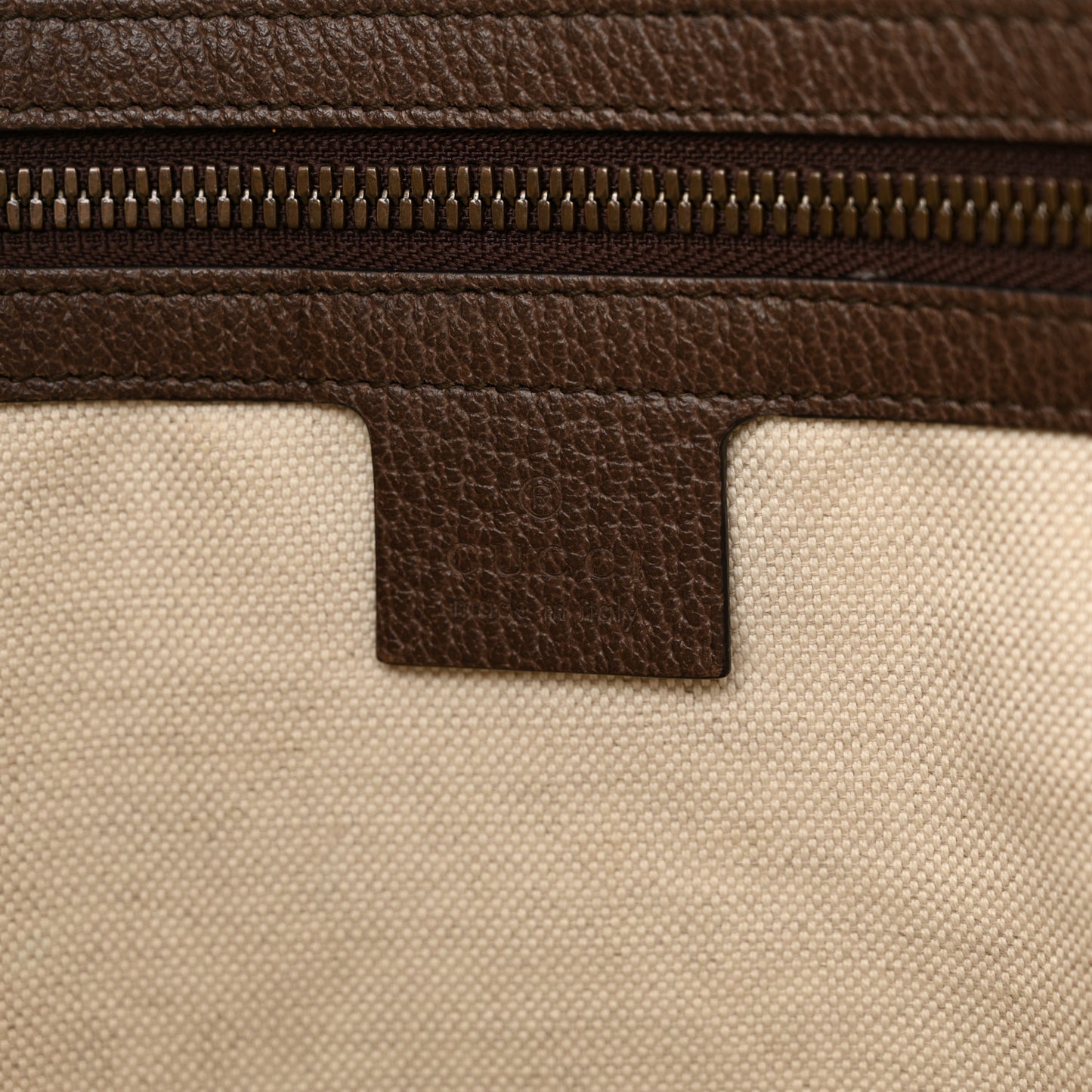 GG Supreme Monogram Web Ophidia Half Moon Hobo Brown