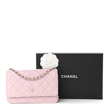 Chanel Caviar Quilted Wallet On Chain WOC Light Pink 12 of 12
