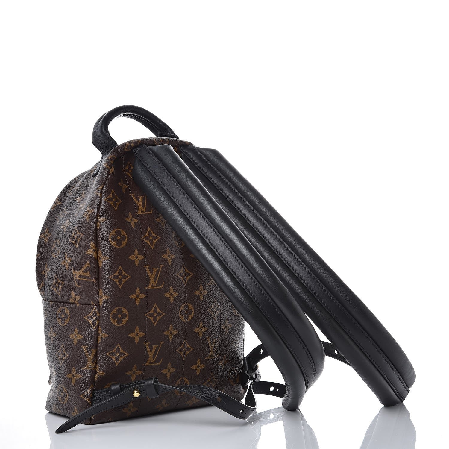 Louis Vuitton Monogram Palm Springs Backpack PM 3 of 6
