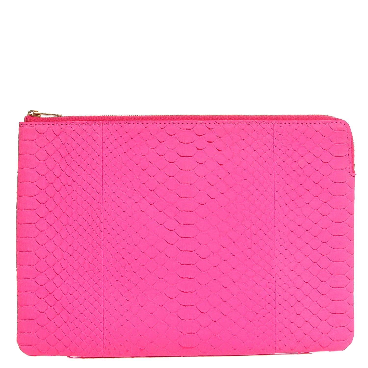 Celine Python Pouch Clutch Fluo Pink 1 of 8