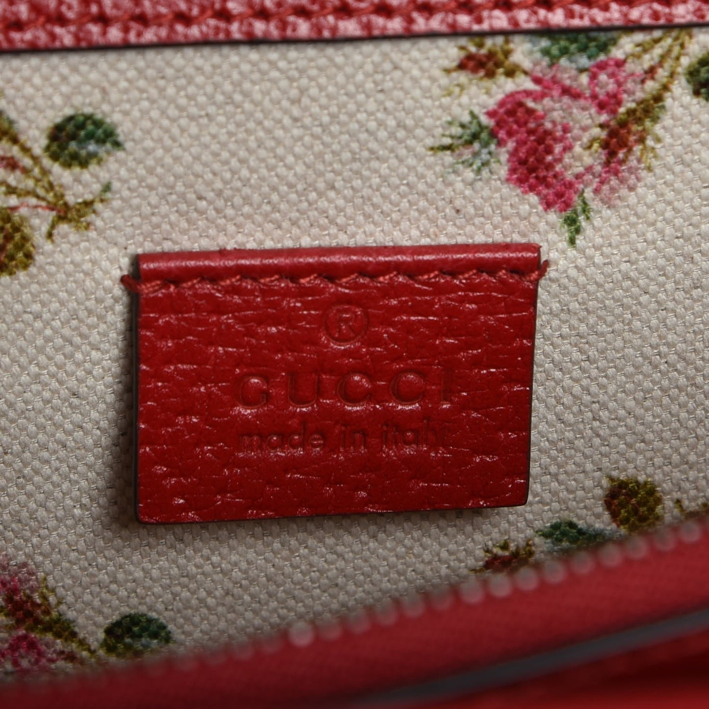 Textured Calfskin Web Medium Dionysus Shoulder Bag Hibiscus Red
