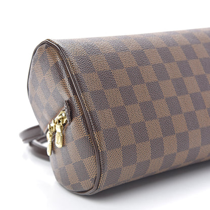 Louis Vuitton Damier Ebene Ribera Mini 8 of 12