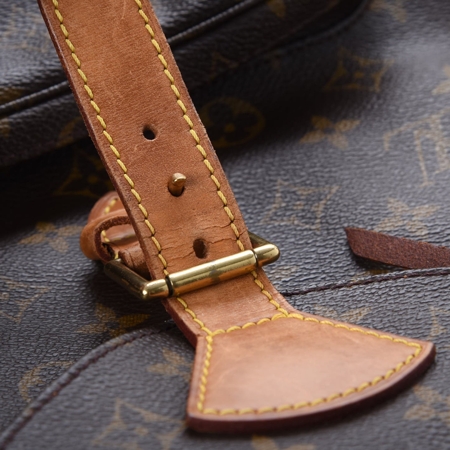 Monogram Montsouris GM Backpack